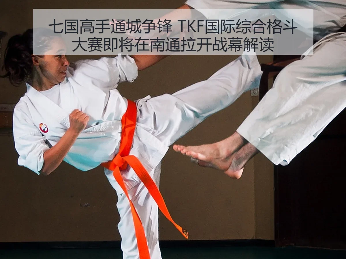 七国高手通城争锋 TKF国际综合格斗大赛即将在南通拉开战幕解读